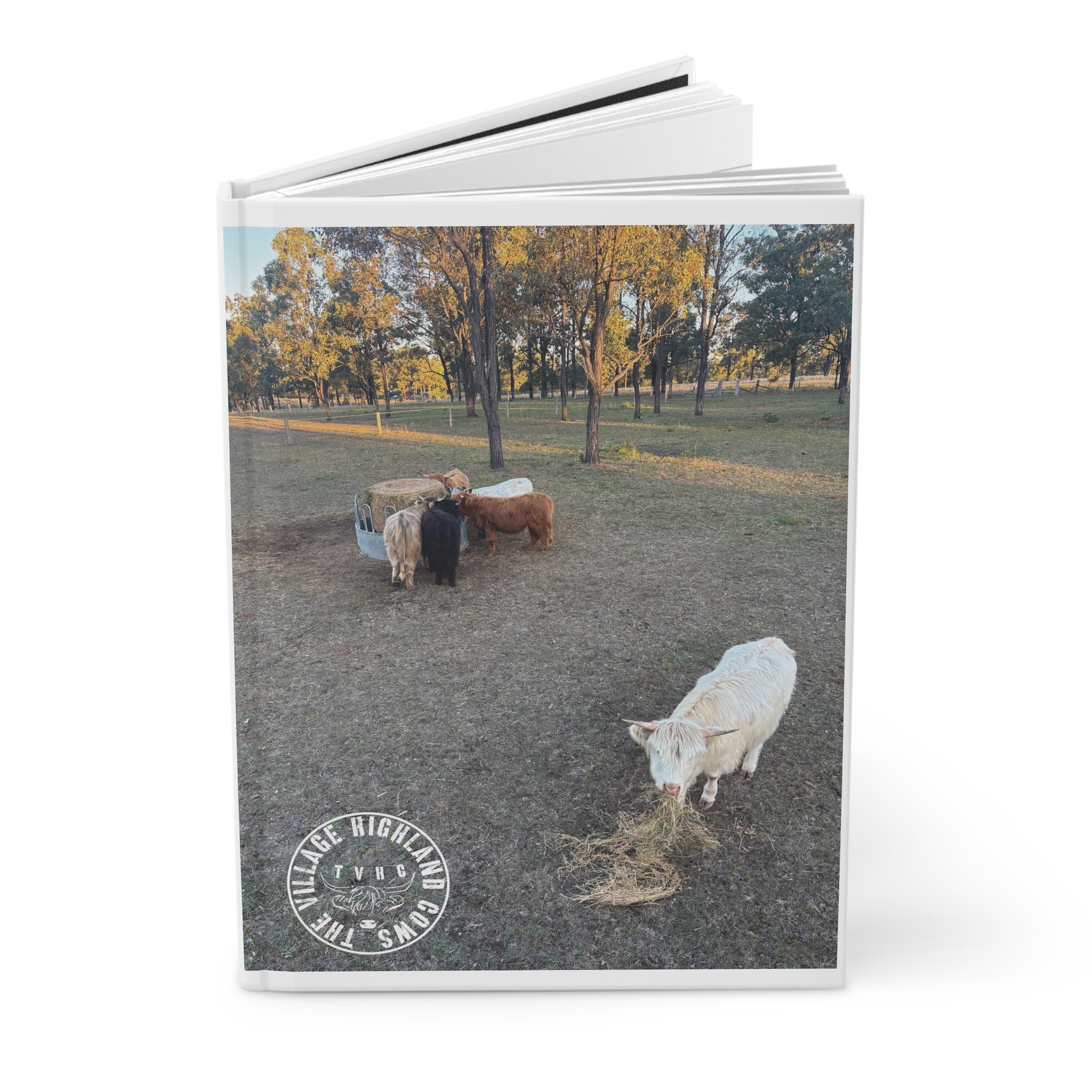 TheVillageHighlandCows Journal 
