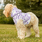 TheVillageHighlandCows Hunde-Kapuzenpullover (lila Logo)
