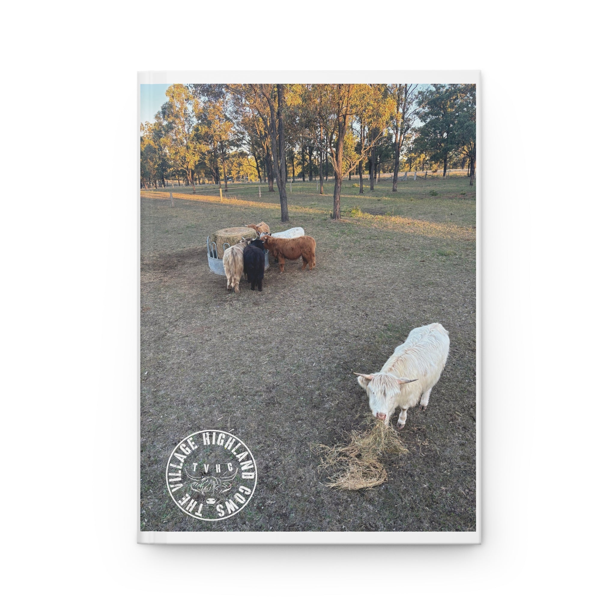 TheVillageHighlandCows Journal 